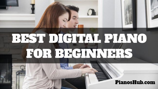 Best Digital Piano for Beginners