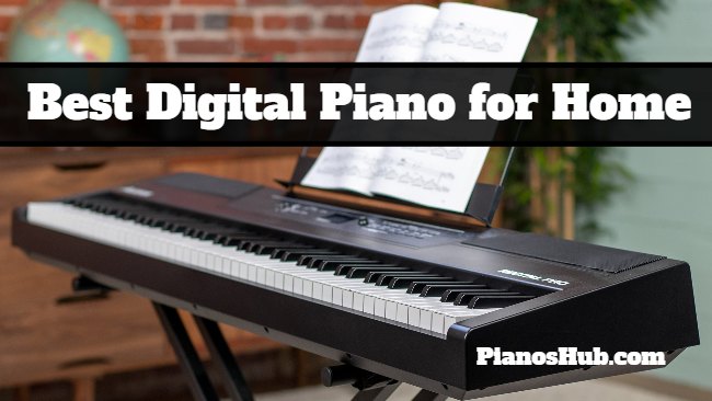 Best Digital Piano for Home