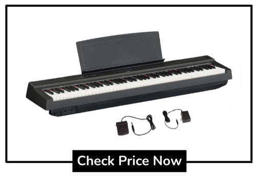 best digital portable piano 2023