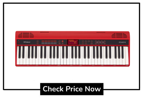 digital piano keyboard