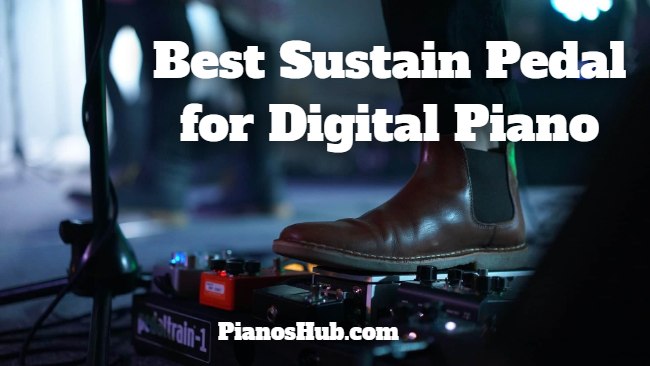 best sustain pedal for digital piano